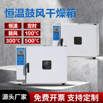 Electric Heating Thermostatic Blast Drying Cabinet Laboratory Oven Dryer Industry High Temperature Small Oven Drying 500 degrees