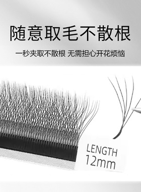 双层五叶草嫁接假睫毛美睫店专用