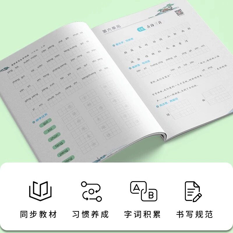 2025 看拼音写词语写生字词语练习二年级上册三年级上写汉字 四五六年级一年级语文字词专项训练积累与活页天天默写能手天天练