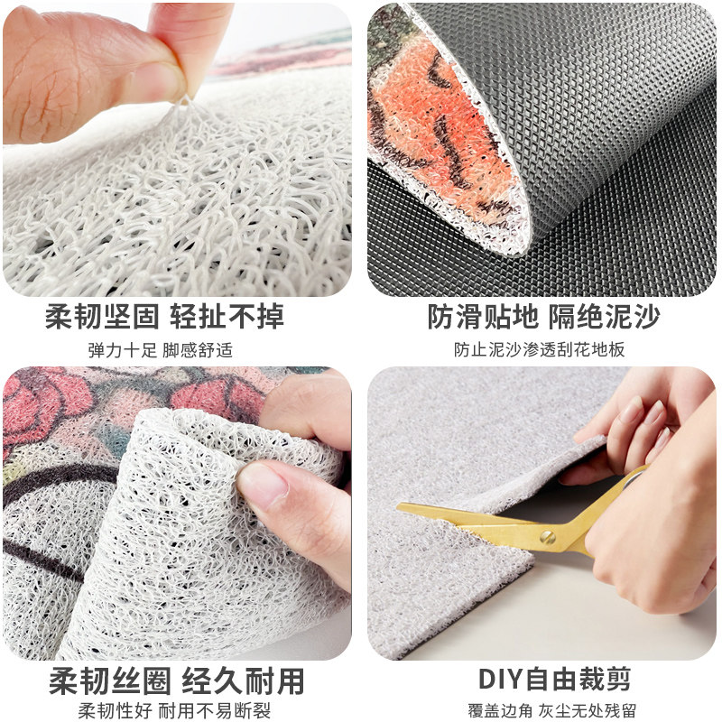 高级感入户门丝圈地垫门口进门防滑门垫玄关脚踏垫pvc可擦洗地毯_虎窝淘
