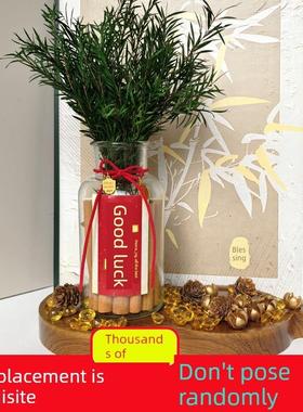 肉桂招财进宝装饰2025招财进宝神肉桂盛财富乔迁礼品办公室桌面装