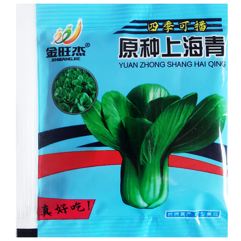 原种上海青种子蔬菜种籽孑鸡毛菜青菜小白菜四季易种阳台菜园高产 - 图3
