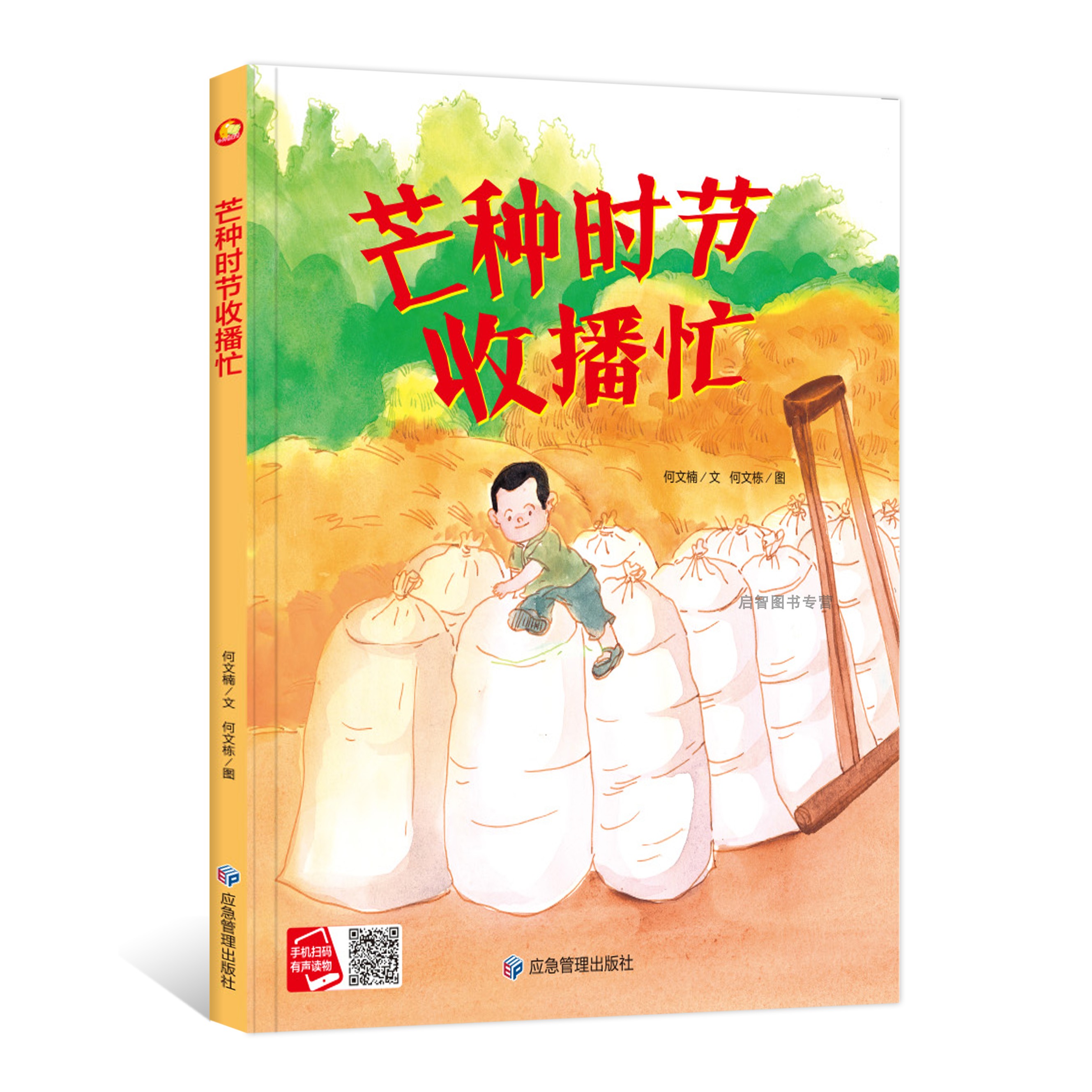 关于夏天绘本幼儿园阅读凉风习习伴处暑立夏看夏忙耕作阳光灿烂享夏至忙种时节收播忙吃瓜捉虫过小暑 A4精装硬皮硬壳3-6岁主题故事