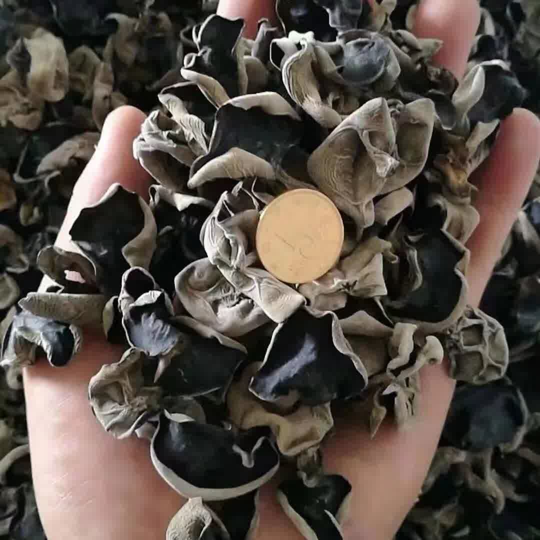 柏麦燕黑木耳