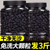 Mulberry dried fruit Xinjiang terrafic Turpan mulberry fruit dry black mulberry dry foam water grain big no sand free wash mulberry fruit