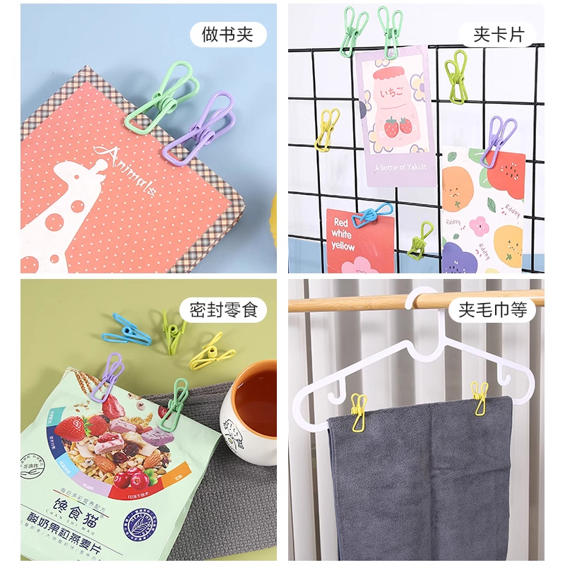 家用夹衣服内衣袜子小夹子衣架防风固定晾衣夹多功能金属晾晒夹 - 图1