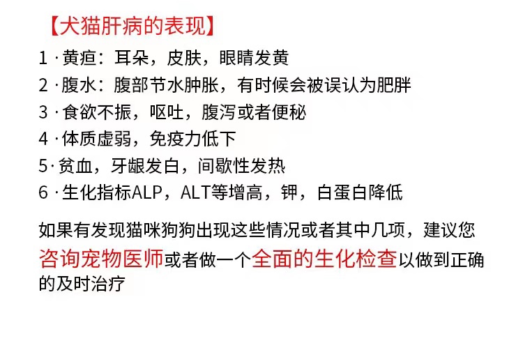 宠儿香肝舒宝软胶囊保护肝细胞预防胆管炎胆石症黄疸腹水犬猫通用 - 图2