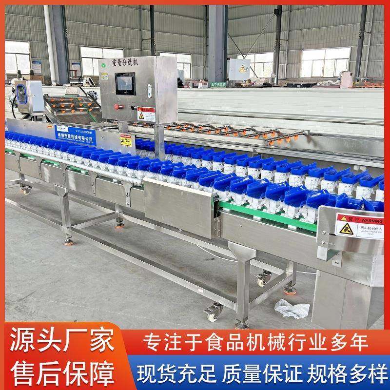 自动选果机 虾类鱼类智能自动分拣机 水果分级机 水果选别流水线,淘宝优惠券,粉丝福利购,淘宝优惠卷