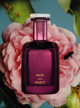 perfumer h香水RAIN CLOUD云雨pear梨墨水玫瑰与昆虫雨木小样