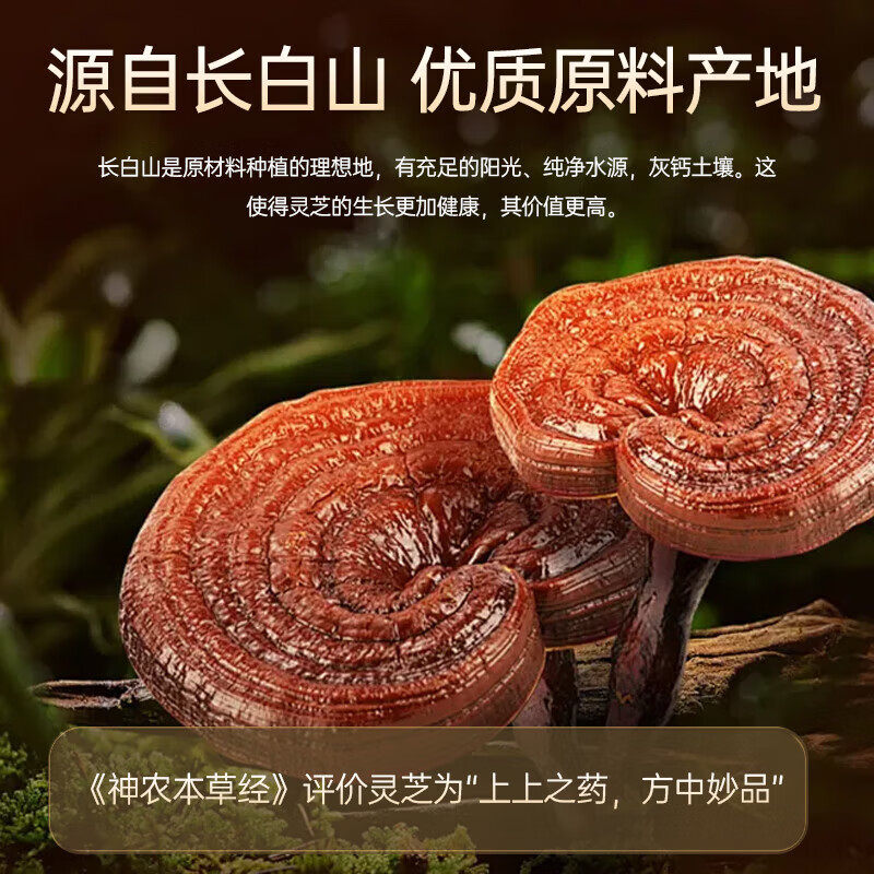 汇仁灵芝原浆口服液中老年人术后恢复营养保健滋补品礼盒免疫调节,淘宝优惠券,粉丝福利购,淘宝优惠卷