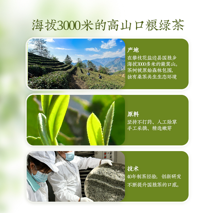 任濡清小银芽23年新茶特级手工采摘四川国胜高山云雾绿茶毛尖嫩