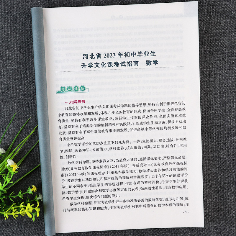 2023河北中考考试说明数学复习资料辅导河北省初中毕业生升学文化课考试指南数学专项练习河北中考考什么大纲解析河北中考必刷题