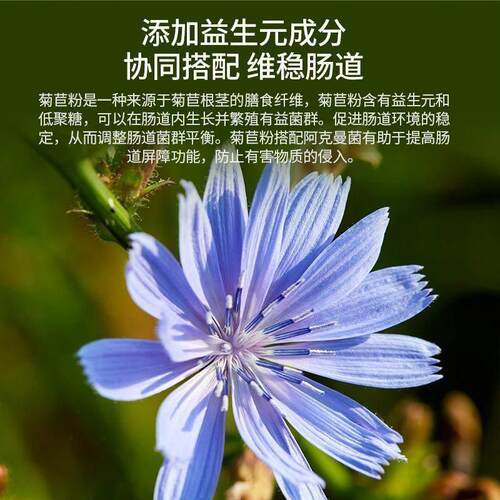 Pendulum体重身材管理益生菌代谢瘦瘦菌AKK瘦子菌 - 图2