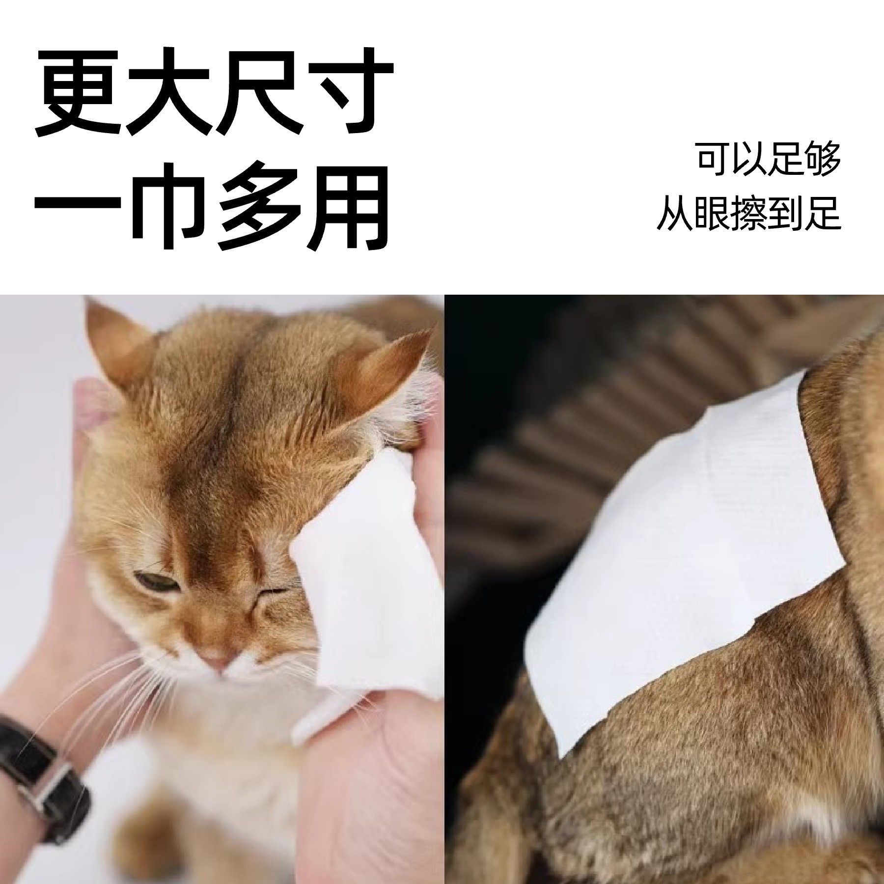 怕老婆的豆哥猫莎莎宠物清洁湿巾加厚犬猫通用银离子杀菌无酒精,淘宝优惠券,粉丝福利购,淘宝优惠卷