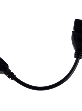 USB (A to mini B) USB Conversion adapter Black