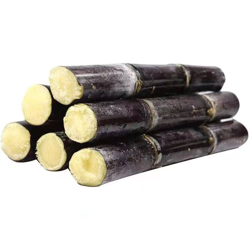 广西黑皮甘蔗新鲜脆甜水果9斤应当季特产现砍整根甜整箱包邮5斤,淘宝优惠券,粉丝福利购,淘宝优惠卷