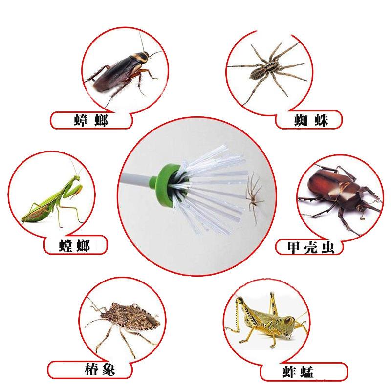 昆虫蟑螂抓虫子神器同款室内捕捉器工具厨房捕虫器红蜘蛛夹式夹子 - 图1