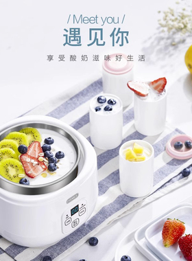 德国进口全自动酸奶机小型纳豆机