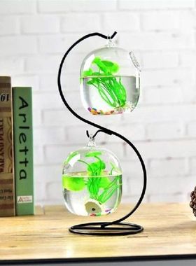 Suspended Transparent Hanging Glass Fish Tank Infusion