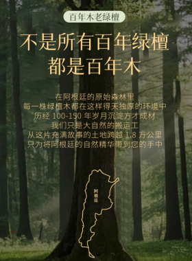 普陀山天然绿檀木黑曜石双圈手串