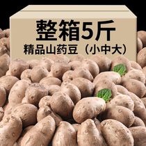 2023 Fresh Freshly Dug Iron Stick Yam Beans Fresh And Sweet Glutinous Yam Bean Iron Stick Mountain Medicine Egg Sugar Hyacinth