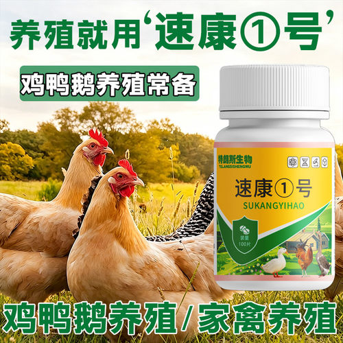 速康一号鸡鸭鹅禽类养殖常备受凉受冻张嘴伸脖 - 图0
