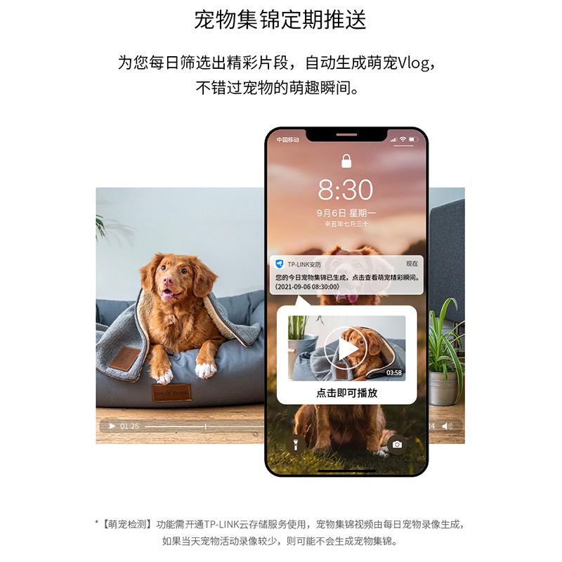 tplink无线摄影头500万家用高清全彩360度全景商用店铺商场办公室内吸顶手机远程家庭宠物老人儿童监控器45AW-图2