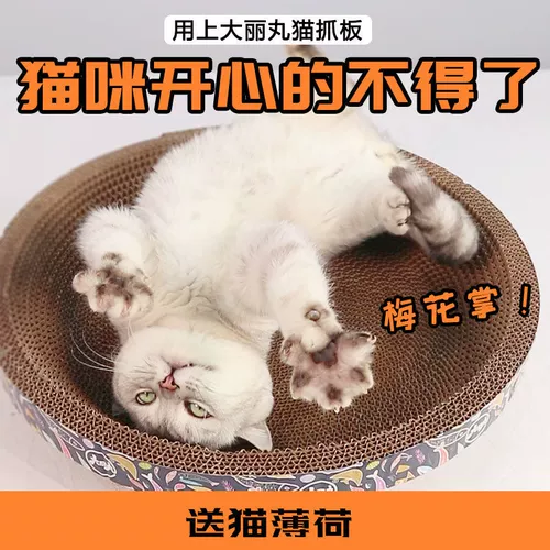 Кошачья панель измельчение шлифовального износа -устойчивый