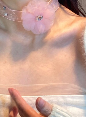 粉色蕾丝choker锁骨链纯欲风