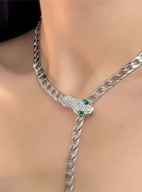 欧美镶钻银色蛇形项链女