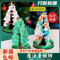 Xinjiang Magic Christmas Tree Crystallization Tree Nostalgia As A Child On Paper Blooming Science Experimental Children Wonder Day