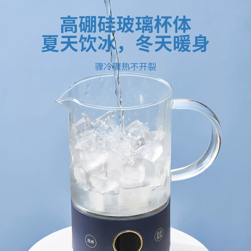 九阳养生壶办公室多功能小型煮茶器便携式烧水壶mini养生杯WY500-图2
