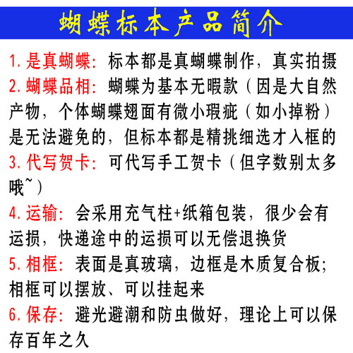 大蓝闪蝶标本蝴蝶摆件天然真昆虫稀有进口真蝴蝶情人礼物天堂凤蝶 - 图3