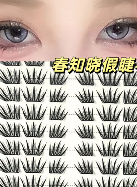 小薄片春知晓斜飞漫画弯梗眼睫毛