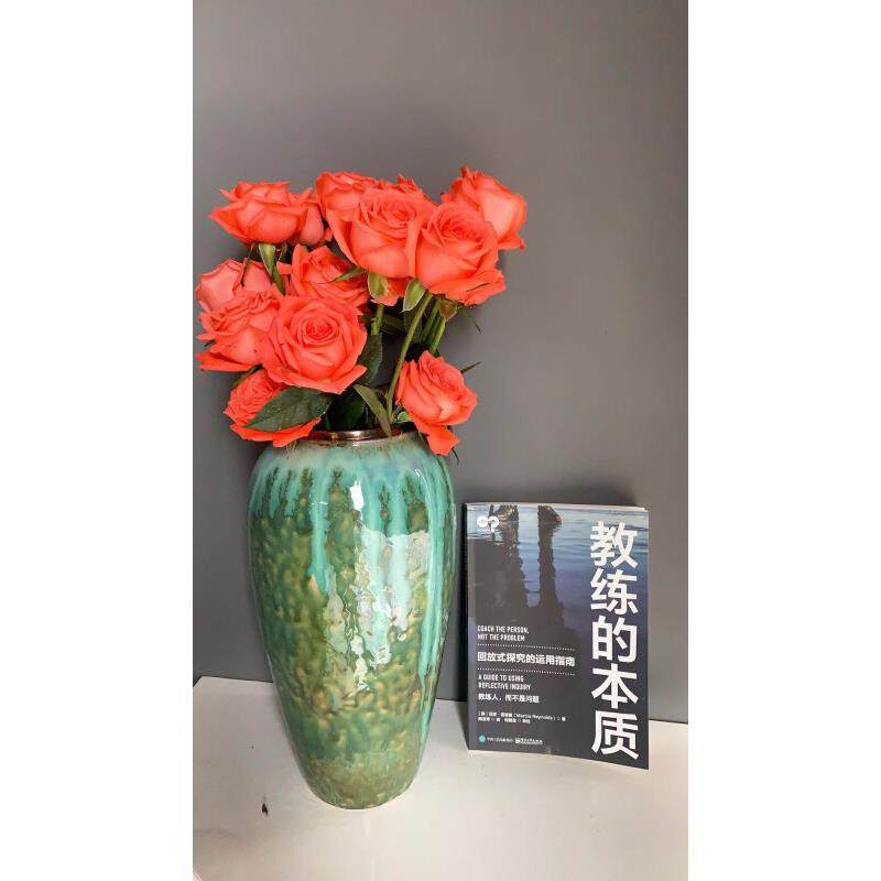 教练的本质 教练实践理念 回放式探究的运用指南 隋宜军 回放式探究的实际运用方法 创造突破性对话的技巧提示和方法书籍 项目管理,淘宝优惠券,粉丝福利购,淘宝优惠卷