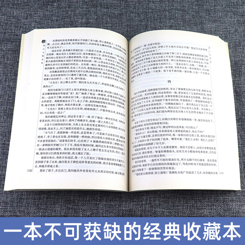 全新正版 郁达夫精选集 世纪文学60家书系 郁达夫著 小说散文作品集文集 中国现代文学大家精品馆藏经典 现当代文学 北京燕山 - 图1