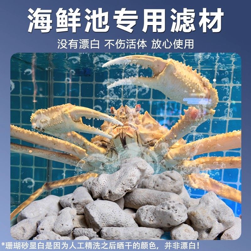 珊瑚骨鱼缸过滤材料水族珊瑚砂海鲜缸水产优质天然珊瑚石鱼池滤材,淘宝优惠券,粉丝福利购,淘宝优惠卷
