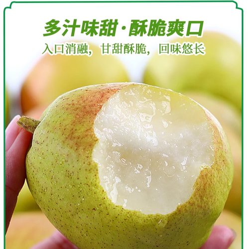 新疆库尔勒香梨全母梨子新鲜孕妇水果整箱10斤精选旗舰店包邮直发 - 图2