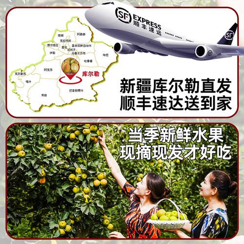 新疆库尔勒香梨全母梨子新鲜孕妇水果整箱10斤精选旗舰店包邮直发 - 图1