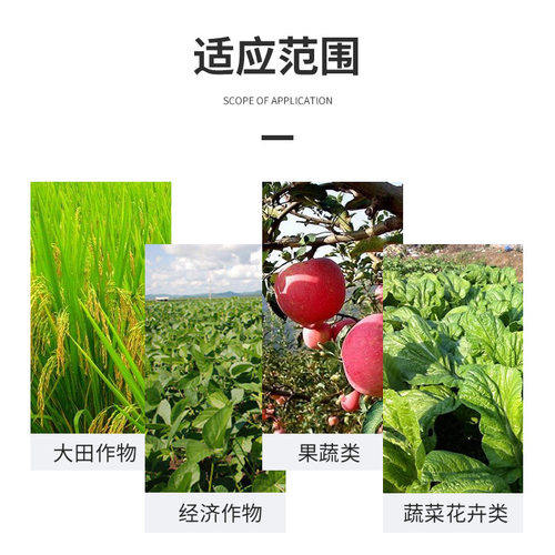 枯草芽孢杆菌农用微生物菌剂微生物菌肥土壤改良剂生物有机菌肥 - 图1