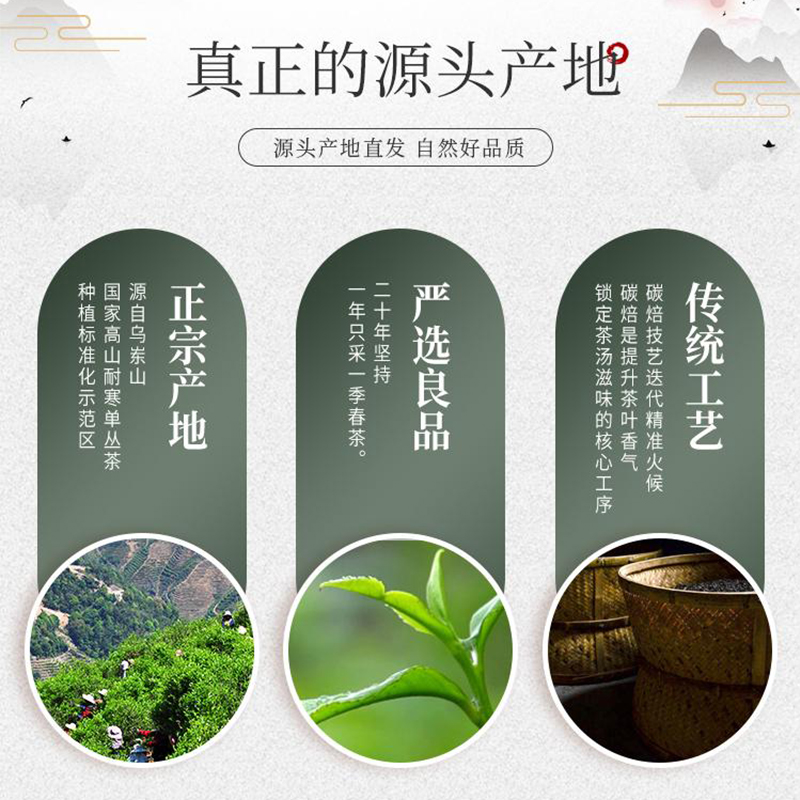 天池茶业  潮汕凤凰单丛茶蜜兰香凤凰单枞茶叶乌龙茶 金罐蜜兰香 - 图0