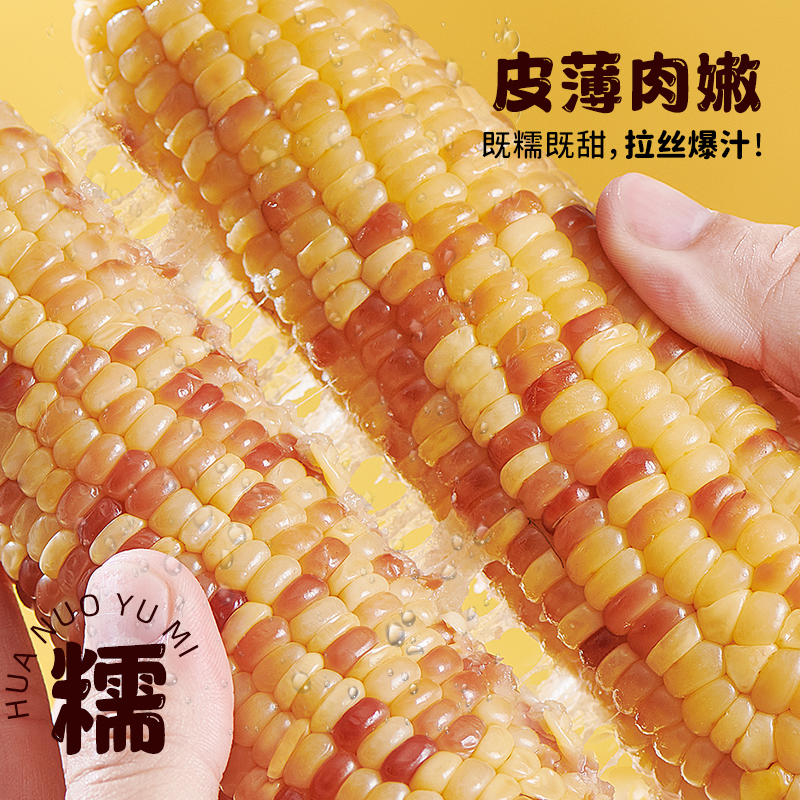 瑞利来花糯玉米低脂新鲜粘甜玉米低脂220g*8根