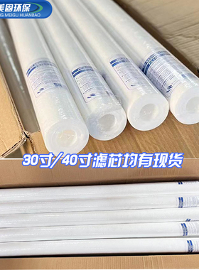 保安精密过滤器10寸20寸30寸40寸