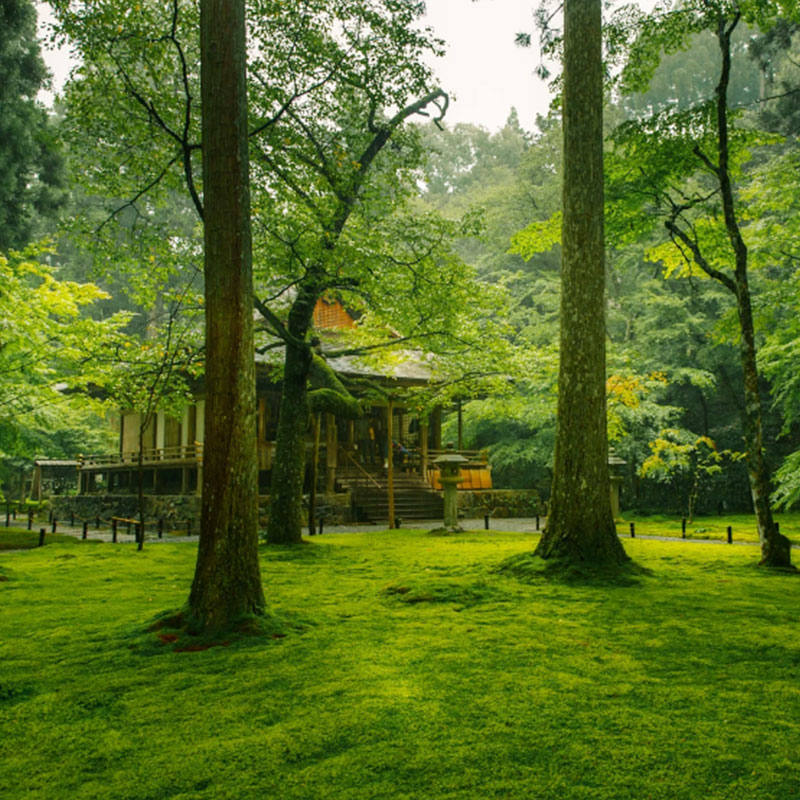 日本旅游大阪/京都出发京都岚山风景区+三千院一日游 - 图2