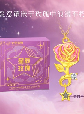 太空造物星辰玫瑰项链女小众配饰
