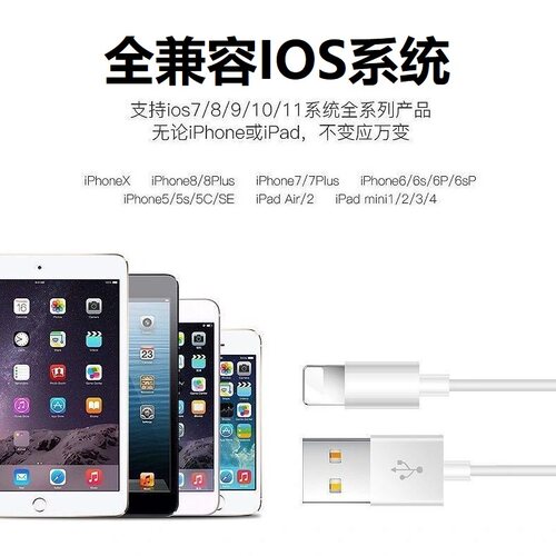 冰婵适用苹果iPhone14数据线1312快充11promax手机充电器6s快速7加长8plus闪PD20W快充iPad平板2米XR冲电线XS - 图1