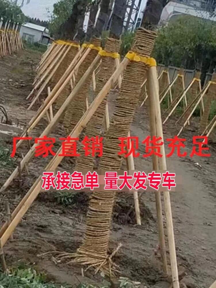 树木支撑架稳定支架园林绿化防风工程支撑固定器杆杉木松木杨木棍 - 图2