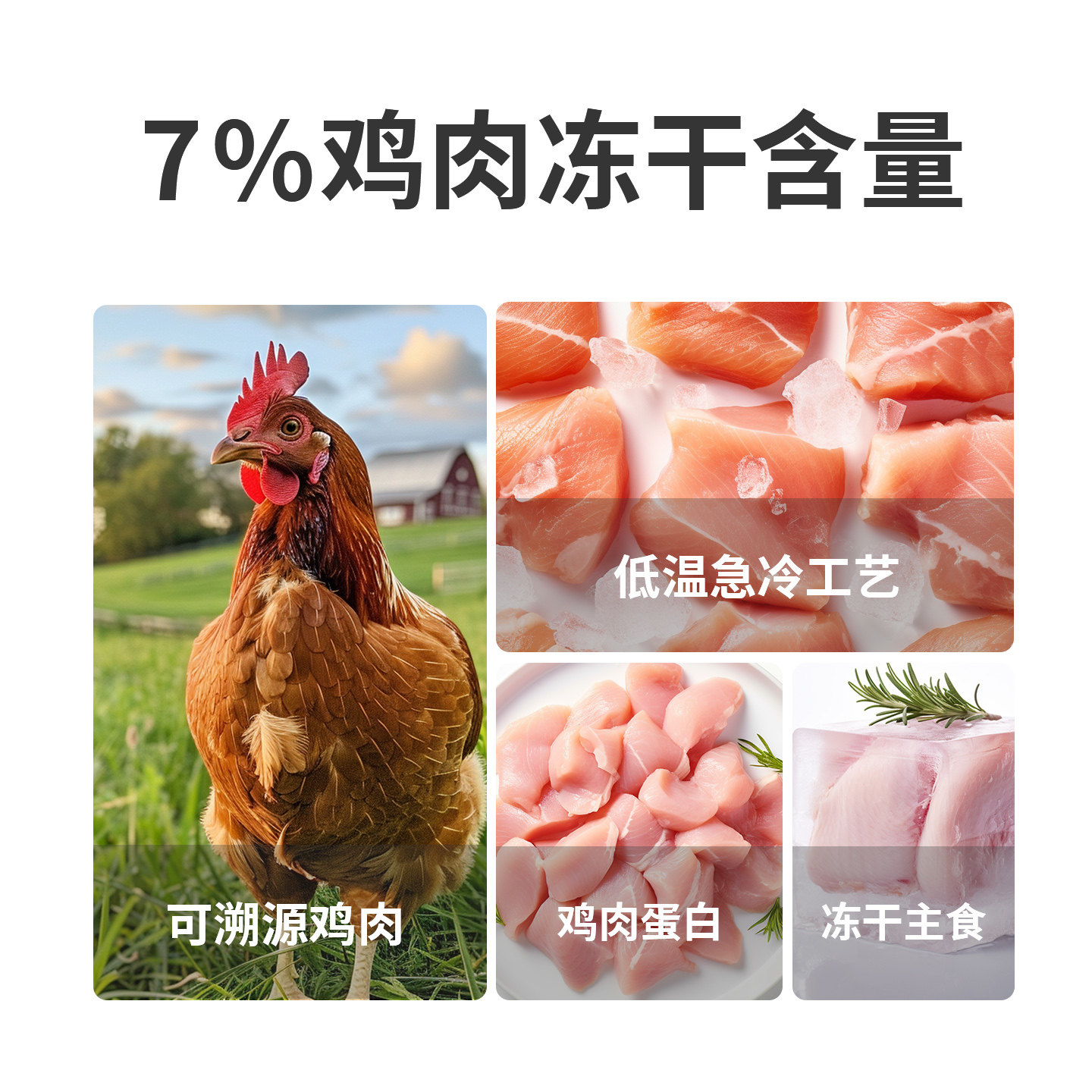 佩予冻干猫粮成猫幼猫通用布偶英短美短营养试吃装猫粮*10袋,淘宝优惠券,粉丝福利购,淘宝优惠卷