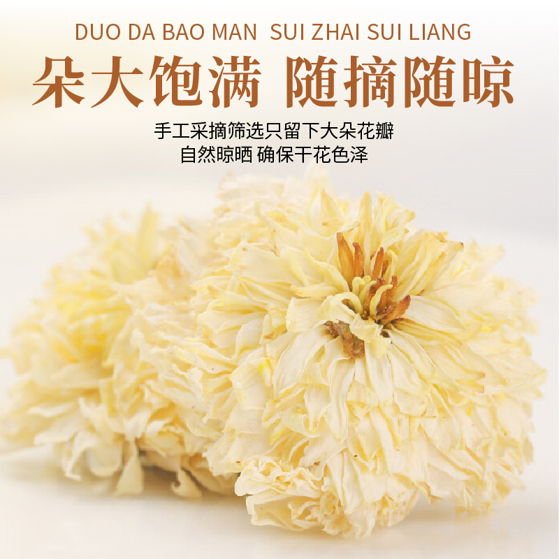 安徽黄山贡菊金丝皇菊特正品级大官方旗舰白菊花胎滁州茶野生泡水