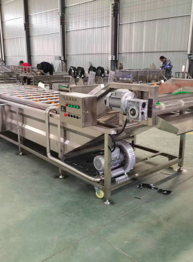 商用果蔬气泡清洗机鲜食玉米高压喷淋清洗机泡椒竹笋清洗冷却设备